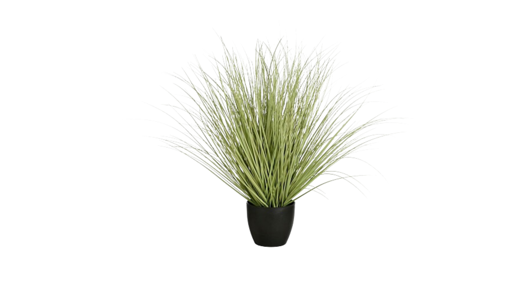Grass Green in Plastic Pot – Height 68 cm
